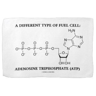 Different Type Of Fuel Cell Adenosine Triphosphate Kitchen Towels