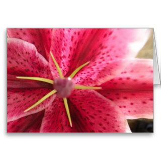 Birth Month Flower Note Cards   MAY