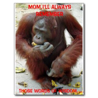 Words of Wisdom Monkeys Birthday card Postcards