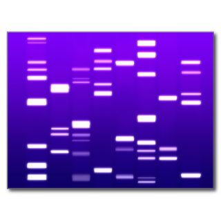 DNA Genetic Code Purple Postcards