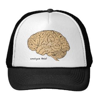 Human Brain Analyze This Hats