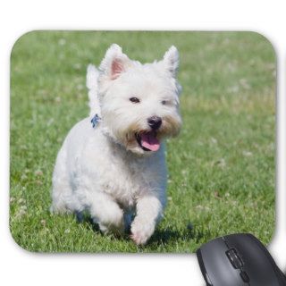 West Highland White Terrier, westie dog cute photo Mouse Pads