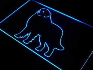 ADV PRO j538 b Great Pyrenees Dog Pet Shop Bar Neon Light Sign  