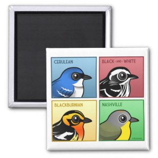 Four Color Warblers Magnet