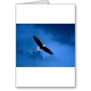 Bald Eagle Alaska Cards
