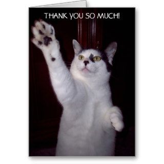 KITTY CAT THANK YOU CARD