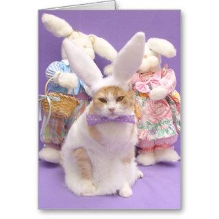 Some bunny loves you greeting cards