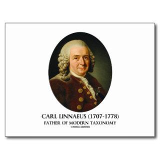 Carl Linnaeus Father Of Modern Taxonomy Post Cards