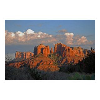 Cathedral Rock Valley 358 Poster