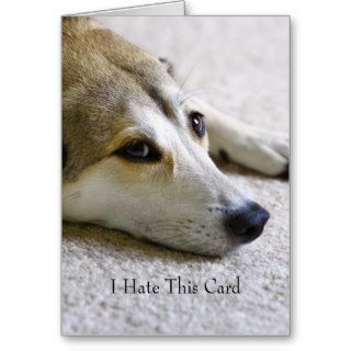 Cute Puppy Face I Miss You Greeting Greeting Card