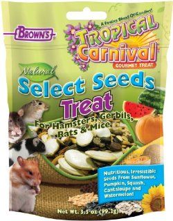 F.M.Brown's Tropical Carnival Natural Select Seeds Treat  Pet Snack Treats 