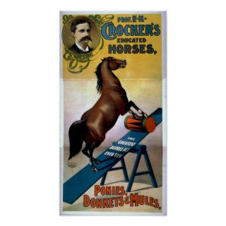 CROCKER'S Educated Horses Act VAUDEVILLE Poster