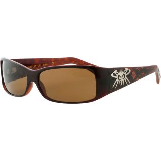 BlackFlys Louis Flytton Sunglasses, Shiny Brown (KOLOUIS/MOCH)