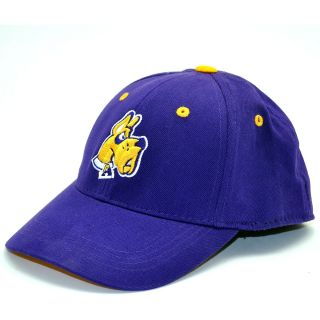 Top of the World Albany Rookie Youth One Fit Hat (ROOKALBNY1FYTMC)