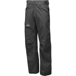 THE NORTH FACE Mens Freedom Pants   Size Xlshort, Grey