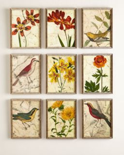 Nine Bird & Flower Prints