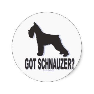 Got Schnauzer? Stickers