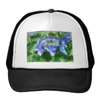 Blue Lace Cap Hydrangea Let's Dance Starlight Mesh Hat