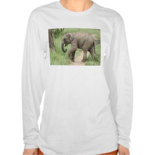 Baby Elephant following the mother,Corbett Tee Shirts
