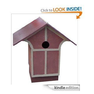 Temple Birdhouse eBook Paul Anderson Kindle Store