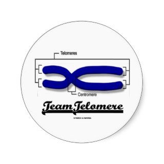 Team Telomere (Biology Humor) Sticker
