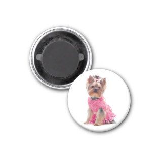 Yorkshire Terrier Puppy Dog in a Pink Dress Magnet