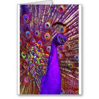 Peacock of a million colors greeting card