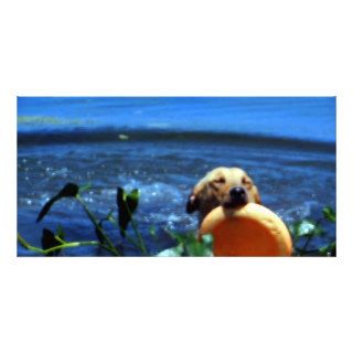 Dog Retrieves with Eyes Closed Photocard Picture Card