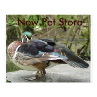arent i pretty,  New Pet Store Full Color Flyer