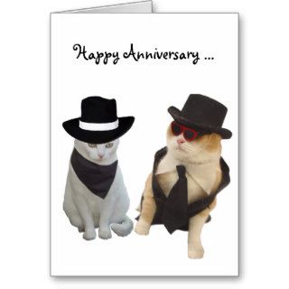 Funny Cats Anniversary Cards