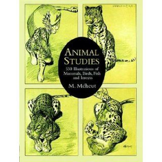 Animal Studies 550 Illustrations of Mammals, Birds, Fish and Insects (Dover Pictorial Archives) M. Mheut 9780486402666 Books
