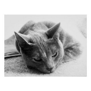 Grayscale Cat Print