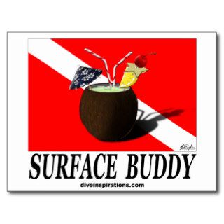 Surface Buddy Post Cards