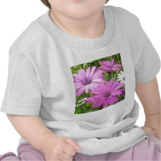 Purple And Pink Tropical Daisy Flower Shirt