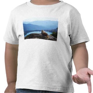 Marmot Oyler Shirt
