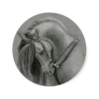 Spanish Horse Drawing by Lucinda Knowlton Sticker