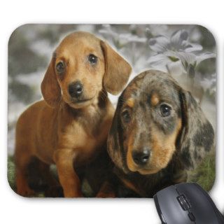 Cute Dachshund Puppies (Brown/Black) Mouse Pads