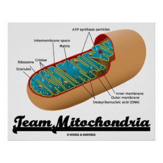 Team Mitochondria (Mitochondrion Humor) Posters