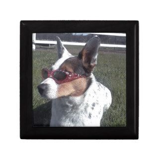 Luna Says Cool Dog in Sunglasses Jewelry Boxes