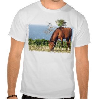 Quarter Horse Photo Men's T Shirt