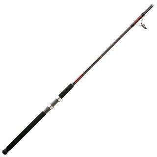 Daiwa Beefstick Saltwater Boat Rod 6' Spinning #BF B601MRS  Spinning Fishing Rods  Sports & Outdoors