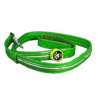 Aviditi BL605 L LED Lighted Dog Leash, Green with Green LED Lights, Large  Pet Leashes 