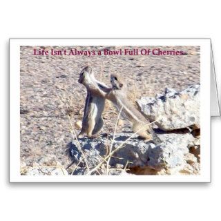 Fighting Mojave Desert Antelope Squirrels Card