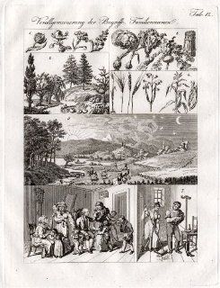 Antique Print FAMILY TIES VEGETABLES TREES Czech 1844   Etchings Prints