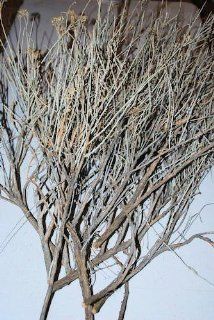 Sagebrush Plant (Sage Brush, Sage Bush)   Artificial Flora