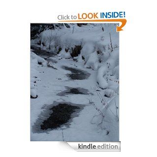 Cold eBook Therese Schab Kindle Store