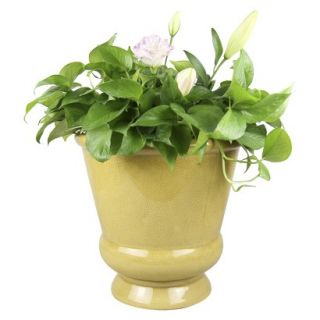 Threshold Belville Urn   Gold