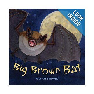Big Brown Bat Rick Chrustowski Books