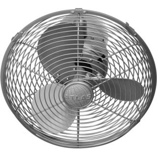 17.5 Kaye Oscillating Wall Fan