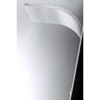 Aston Global Dual Function and Diveter Shower Panel with Six Body Jets
